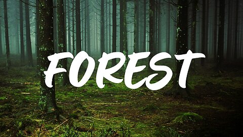 Enchanting Forest Sounds & Scenery | Relaxing Nature Walk in the Heart of the Wilderness