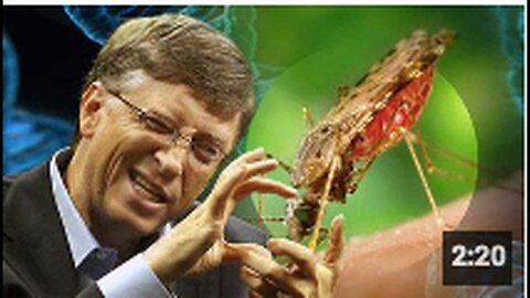"World's Largest Mosquito Factory in Colombia Owned by Bill Gates"