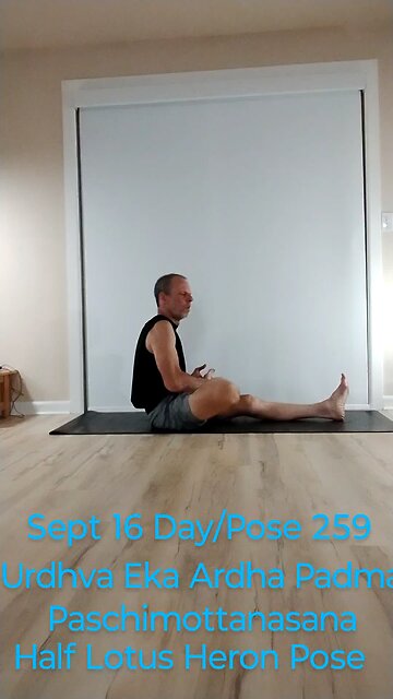 Urdhva Eka Pada Ardha Padma Paschimottanasana / Half Lotus with Heron Seated