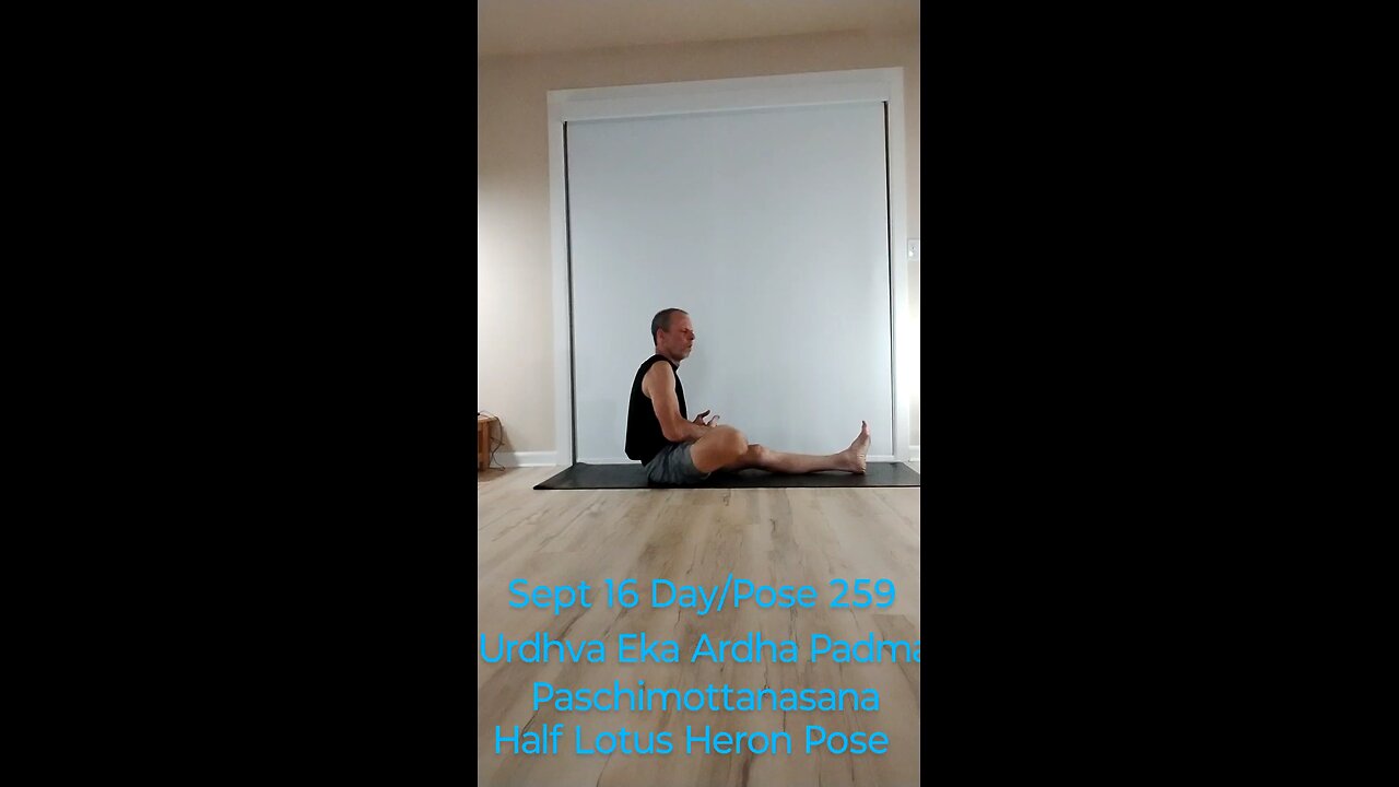 Urdhva Eka Pada Ardha Padma Paschimottanasana / Half Lotus with Heron Seated