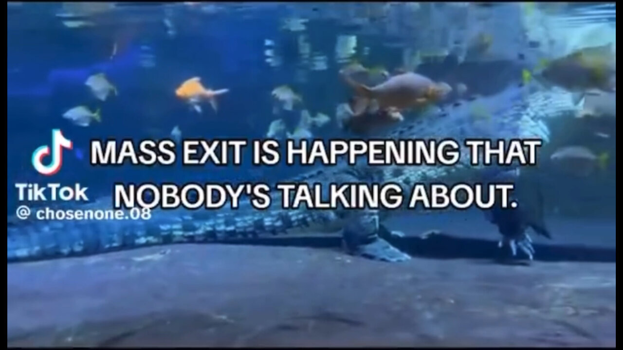 Mass exit is happening that nobody's talking about.