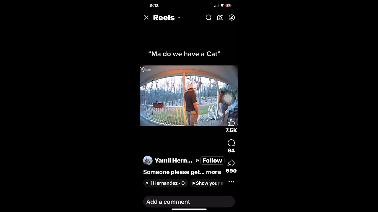 Do we have a cat ?