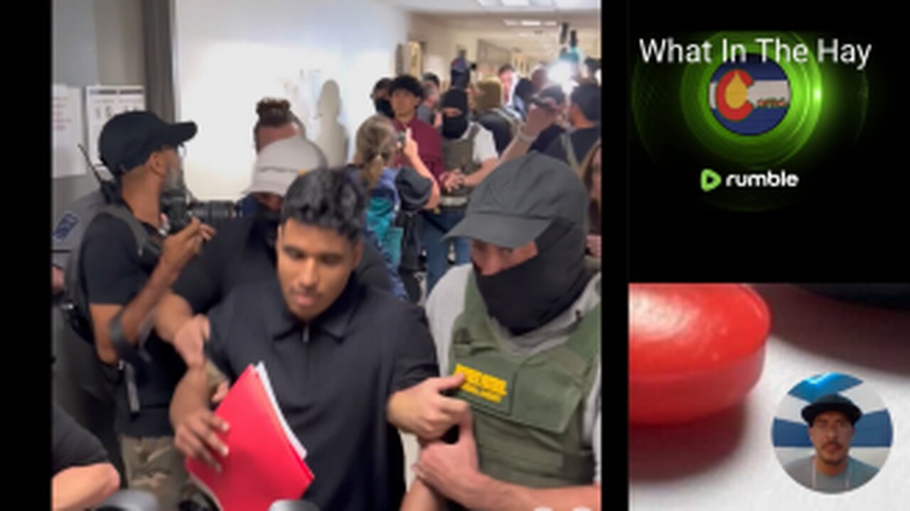 MULTIPLE ILLEGALS DETAINED at NYC Immigration Court, and MORE ARRESTS