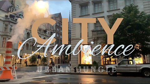 3 Hours in the Urban Jungle: City Ambiance Odyssey