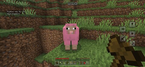 A Minecraft Short Video