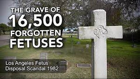"Shocking Revelation: The Untold Story of 17,000 Aborted Babies Found in Shipping Container, 1982"
