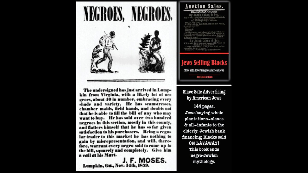Blacks honest
