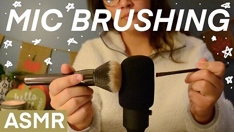 ASMR | Mic Brushing and Personal Attention (whispers, mic/camera brushing)