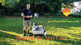 Shaping the Stay Cue