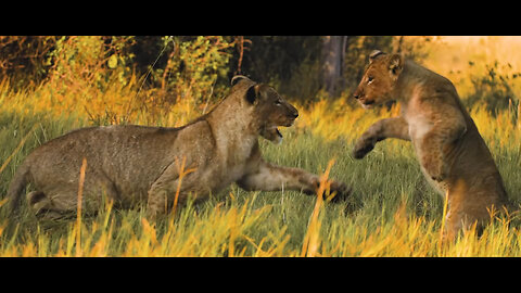 Okavango Delta