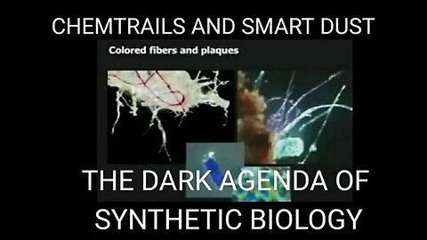 "Uncovering the Hidden Dangers of Synthetic Biology: Sofia Smallstorm on Chemtrail Nano-Bots"