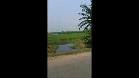 Village