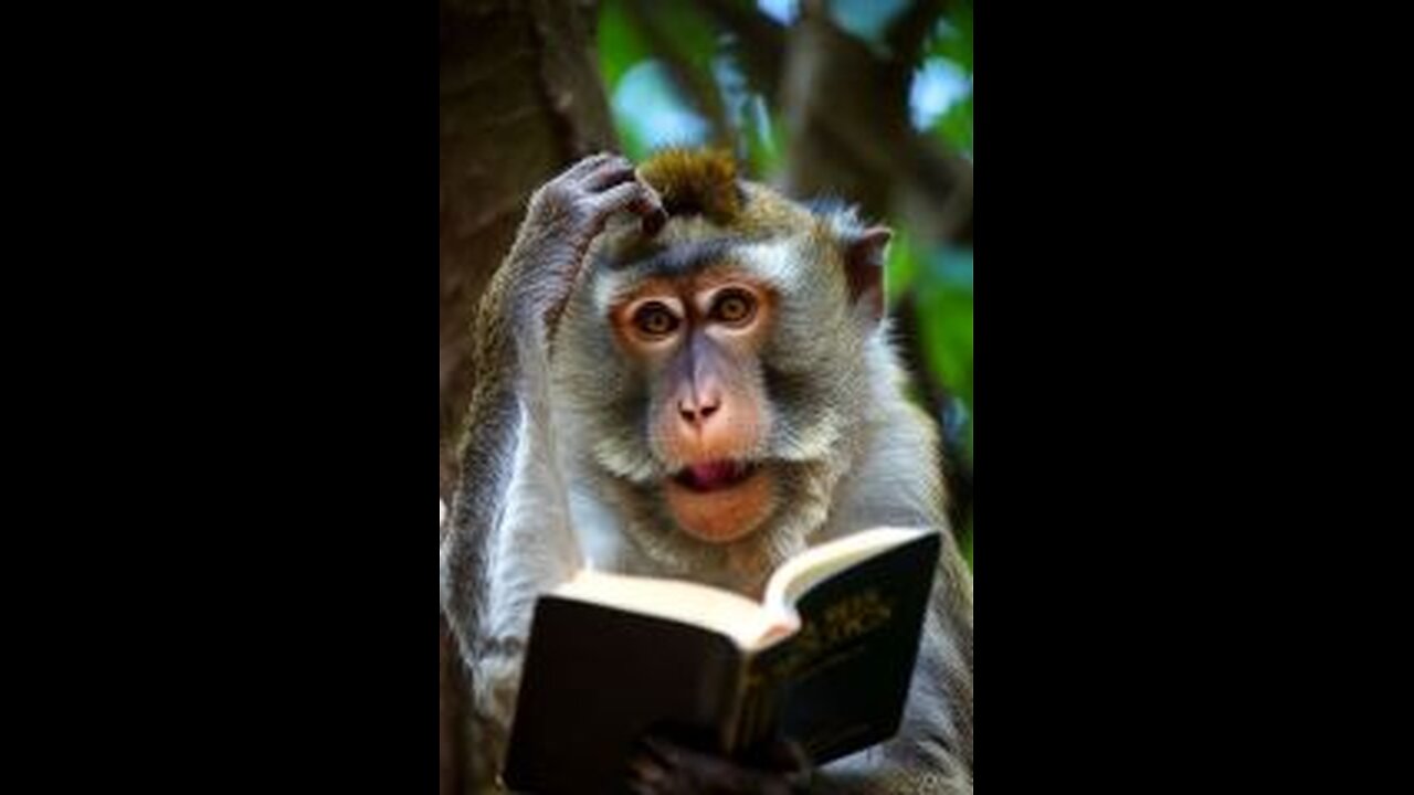 Day 1 of reading the bible