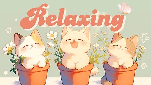 A relaxing day 💖 1 Hour Cafe Song🧶 Lofi Hip Hop Radio 🐱 Relax Chill Study Stress Relief