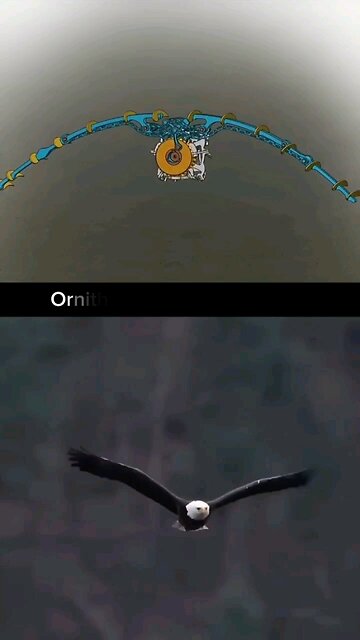 Artificial bird mechanism