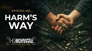 The Highwire -Episode 439: Harm's Way