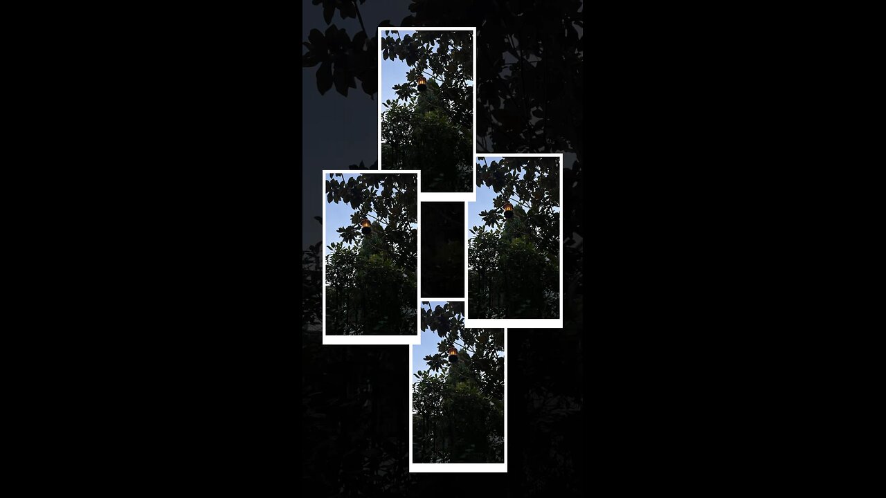 Haus Pia Serviced Apartments