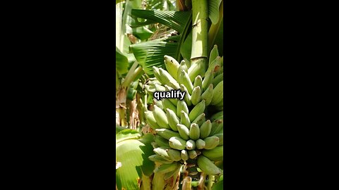 Amazing facts 😱😱about fruit, you don’t know‼️