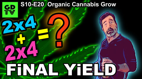 S10 E20 – Yield Results – Final Cannabis Yield from Two 2x4 Tents – 4 Plants
