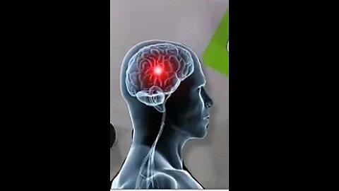 The human torus