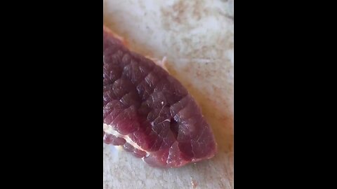 GMO Meat...Bon Appetit 😋