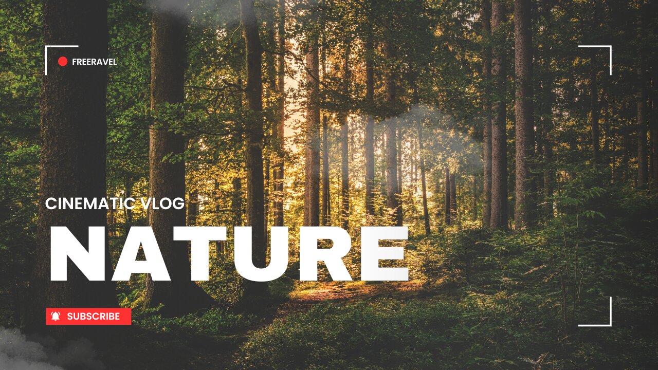 Explore the vast lands of the beautiful world around you!