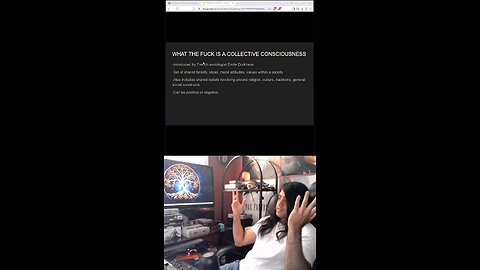 What are collective consciousnesses