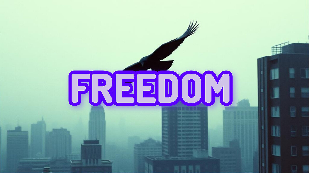 FREEDOM 🎶🎶🎶✨🙏🏻#MUSIC