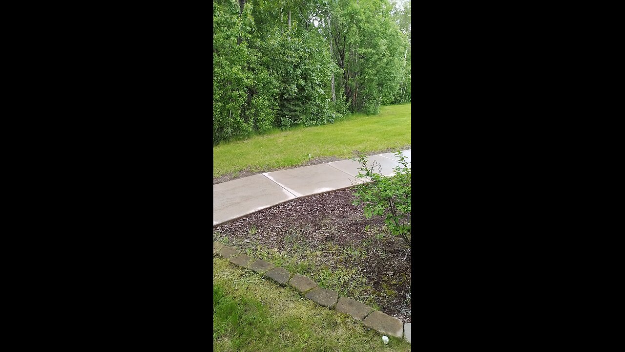 Wasilla Spring Pre Summer 2025 A Puzzlement