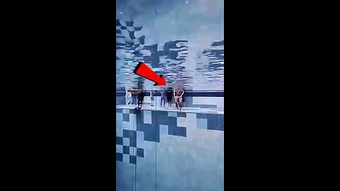 The world 🌎 diving record