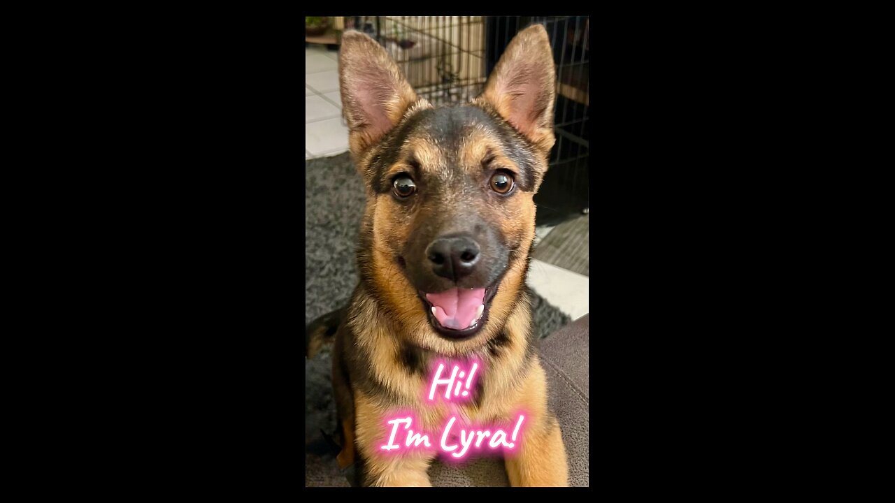 Hi! I’m Lyra!