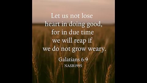 Be Faithful