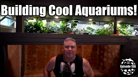 Building Cool Aquariums