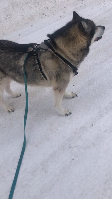 Tuesday February 3, For God has reserved a priceless inheritance for his children.