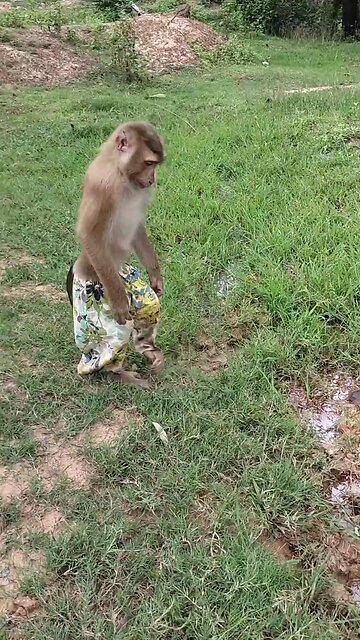 Best SokYaa, OG, Pao & Mom Are Famous Around The World #shorts #anime #trend #edit