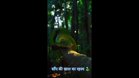 साँप की खाल का रहस्य 🐍 #shorts #yourubeshorts #snake ##bhoot #viral