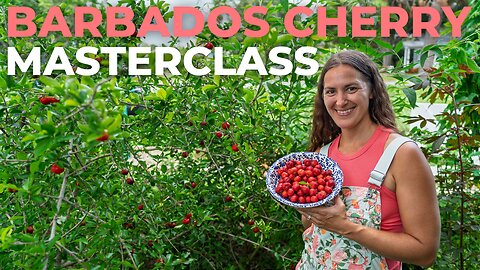 Watch This Before You Plant Barbados Cherry
