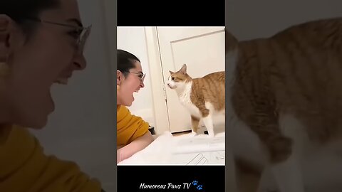 Funny animals 2024😂- Funniest Cats and Dogs Video😹🐶 #14