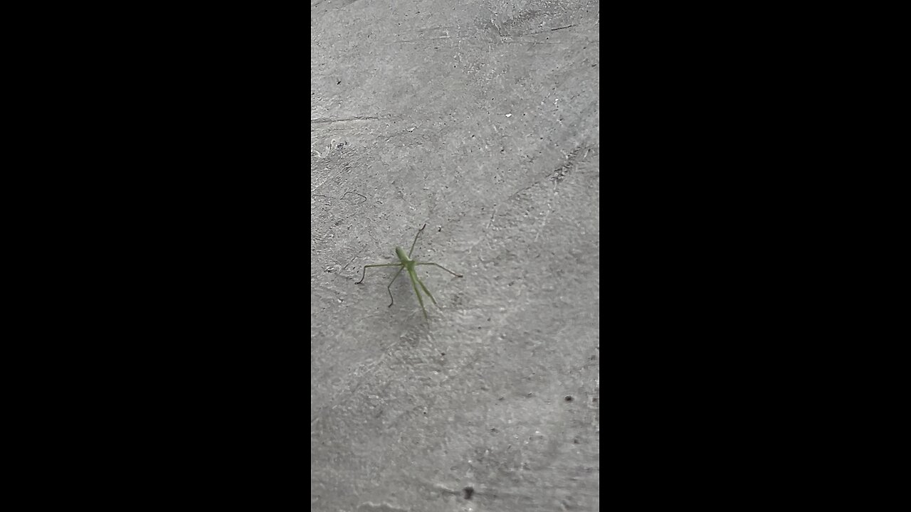 Ep. 443 "Prayer" by Patrick Henry The Batman