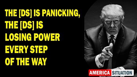 X22 Report Huge Intel: The [DS] Is Panicking, The [DS] Is Losing Power Every Step Of The Way