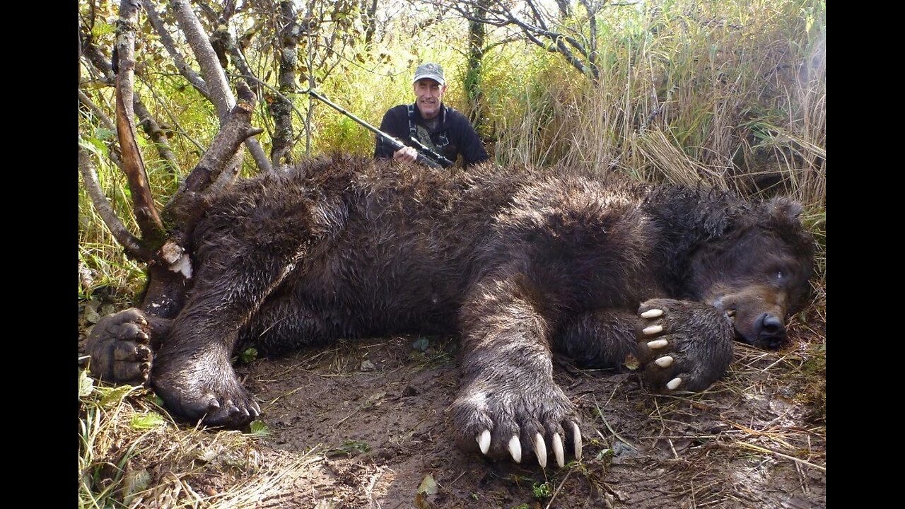 Northern Giant
