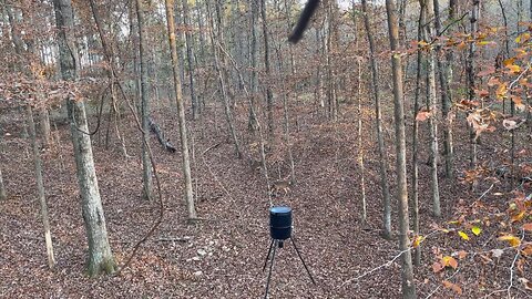 Wahuhi Hunts - Rock Dam - Nov 25, 2025 - S3