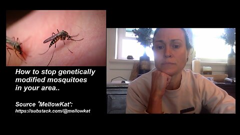 How to stop genetically modified mosquitoes in your area..