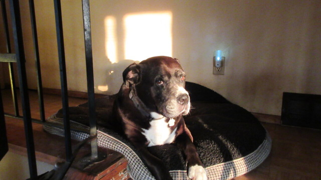 Rain and far away lightning June 21 2025