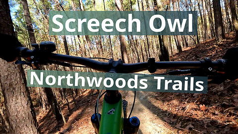 Screech Owl Trail, Hot Springs, Arkansas