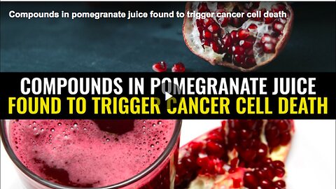 "Pomegranate Juice Compounds Trigger Cancer Cell Death"