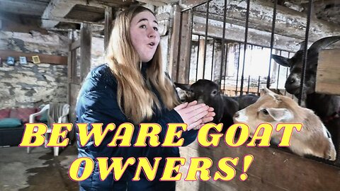 BEWARE! Why This ONE Thing HAPPENS In GOATS!