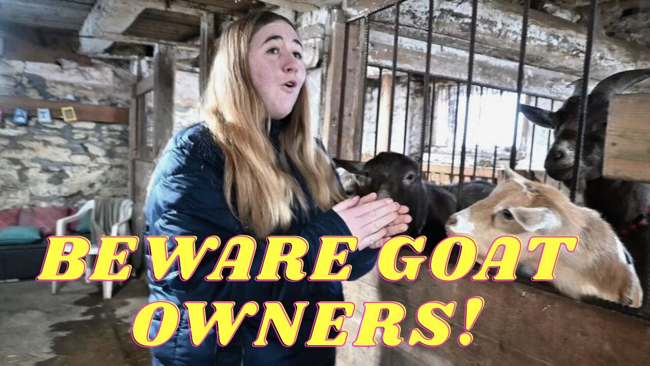 BEWARE! Why This ONE Thing HAPPENS In GOATS!