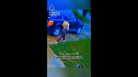 🐕 action
