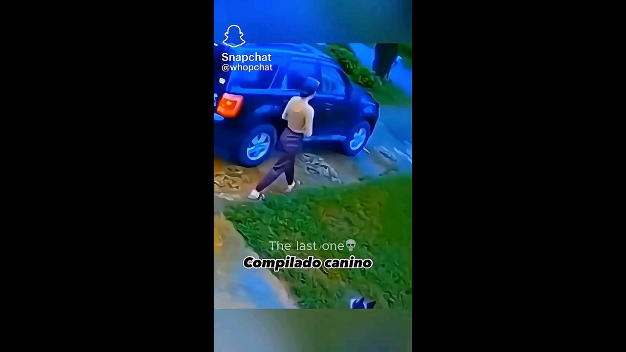🐕 action